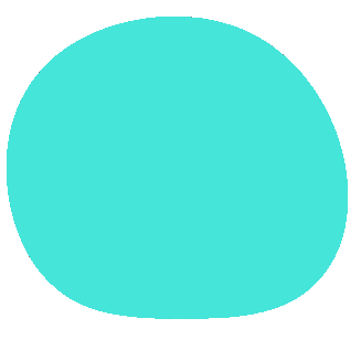 豊田麻琴（とよだまき）腸内環境を可視化してあなた本来のリズムへ導くウェルネスコーチング|健康系福利厚生人気ランキングで最も喜ばれる腸内フローラ解析|FRONT